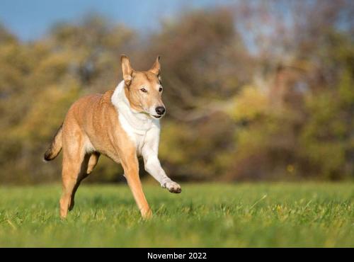 00 -8822vp 3000 11 22