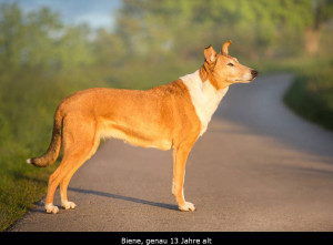 0_-0778-2p_1000text    