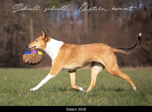 0a -2410p gross p 1000text 3 18