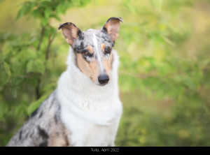 00_-1554px_1000april22                                                   