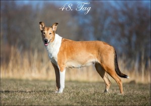 00e_-8667p_1000text48_850