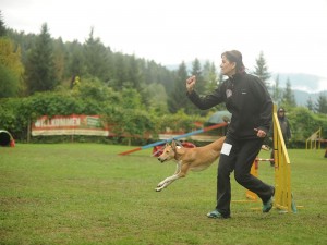 11a579774fa622147d32d8ed8d89e17c