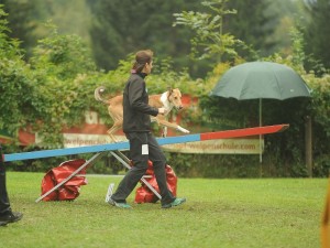 14b45815e82322bcb7fde41897b0af2e