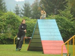 5bf229d17510f8a9d90643e51e44bf21