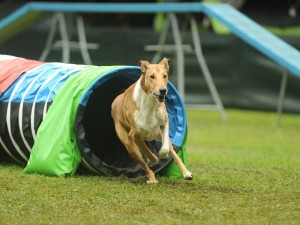 5f25a5b7f5c7b90949c545122f5610d8