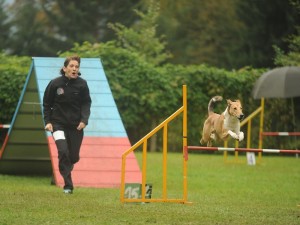 7c7700f27b45e3dffff97845f5ceab6d