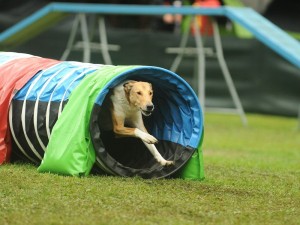 7da2d1a7cc4f42c71bbf959e2fcd0085