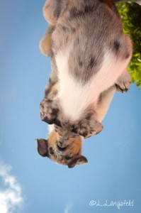 014be4108227347babb93296f89fa743