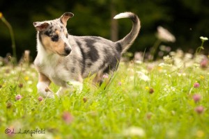 099f2db768e1a7ded2e77600c89b3da1