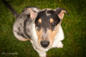 0dc31fd316a48e89241475ec0a834422