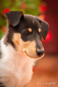 14883e6ffa549570d12986a3e0fbf7bf