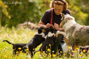 18e4e6bbc81e00c7b8655c77fbbba620