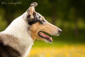 1bcc975949888f87b97e033bbc86cbcb