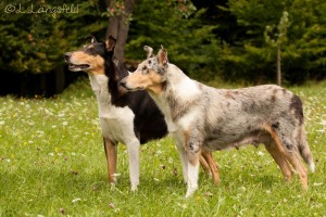 1d76bc4da865a674557a4d5805fbb38a