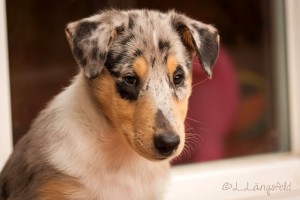 27c28582d1b1cf31898a326038d2f298