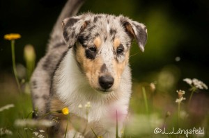 2f259d0e095a887539edfe6382ffac05