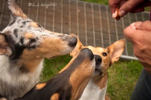 33824a94f9561b80a4b9a6c641f1321c