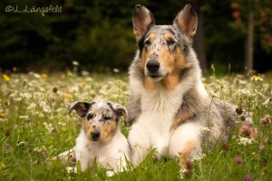 3d0cb24f2780bfcc0789dfd471de628b