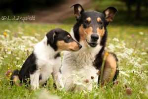 3e8a3cf66e143caf67c6fe35e280590f