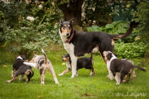 40bc5b5e61a2f04d235c5c7b1e7e964c