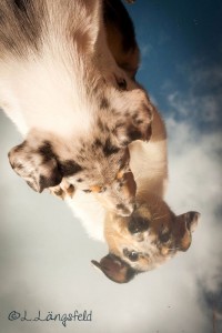 41c1e0c68fe6247760c72a21d8a13c61