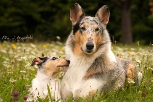 494c25eae0a48be98dc8f68cc53584fc