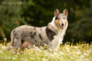 4a657f8501e5c9683e82139f50abd8da