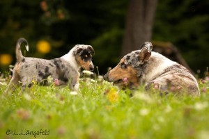 53f6fe49b1e3b2858e125945642828e2