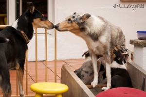 5c61ffccff8d82efdced00f1a573e965