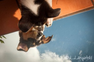 5d14a1dc4919db5fcbef2ce938223e3b