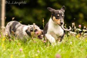 6125e00ec465235bd7b6396b9ac6827b