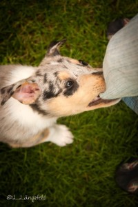 64027bf0ed17e170af80f88df78c747a