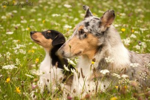 663a06a2b5d29ad1dc1ebd64733d38c9