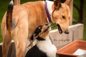 75ca59110ba919ae7f4f41eb9595f989