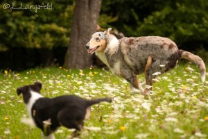 7d8c9ace2c428dffeee14144724640d5