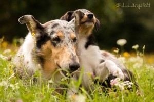 7e606f24998ac4ebd3146896ebae2308