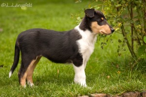 8d31cf2293eb0b9c16750289eaf9ca5d