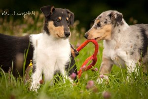 95290aece9f472acc83835148bb31bb3