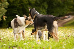 a6ec717b1712b717e3480b98733fe52e