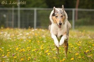 b35c956069b18e53415443ebe0e9794d