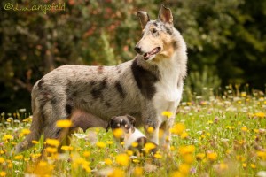 bebc61e962bef521b677e97451a02f29