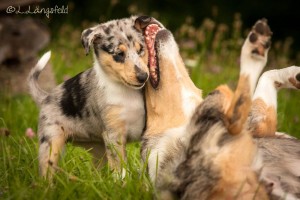 c01610208c65ef9f4fb842b8ca465a33