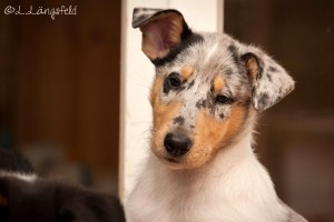 c4d338c99aa8342838df6260fe2bf7e2