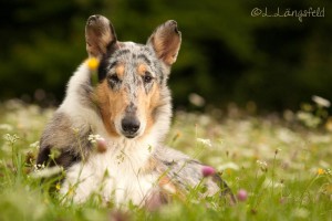 cf7a502494fd5c94fd2c2eefe06c1aaa