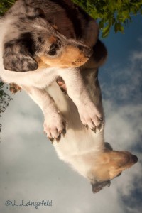 d83653febda34b6c9c812ee809ee9d98 