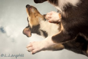 d88bc1570d7c11650306f91c331a5417 