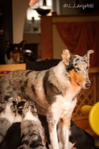 dbbf4b300f063d3144028f475a6b9955 