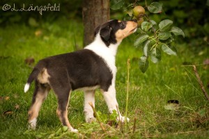 dd3d2fd8bfaee739e13d6e245b3b461c 