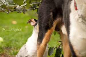 de18c25db8f9c171963f75459e9ac7c4 