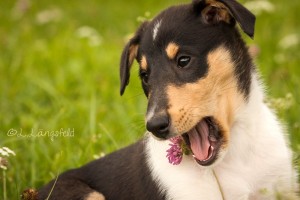 eaf348f3929a1d4fdea4051a25dc5110 